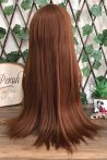 Long Fiber Wig with Chestnut Forelock