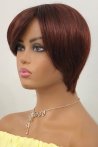 Gilda Chestnut Synthetic Short Wig