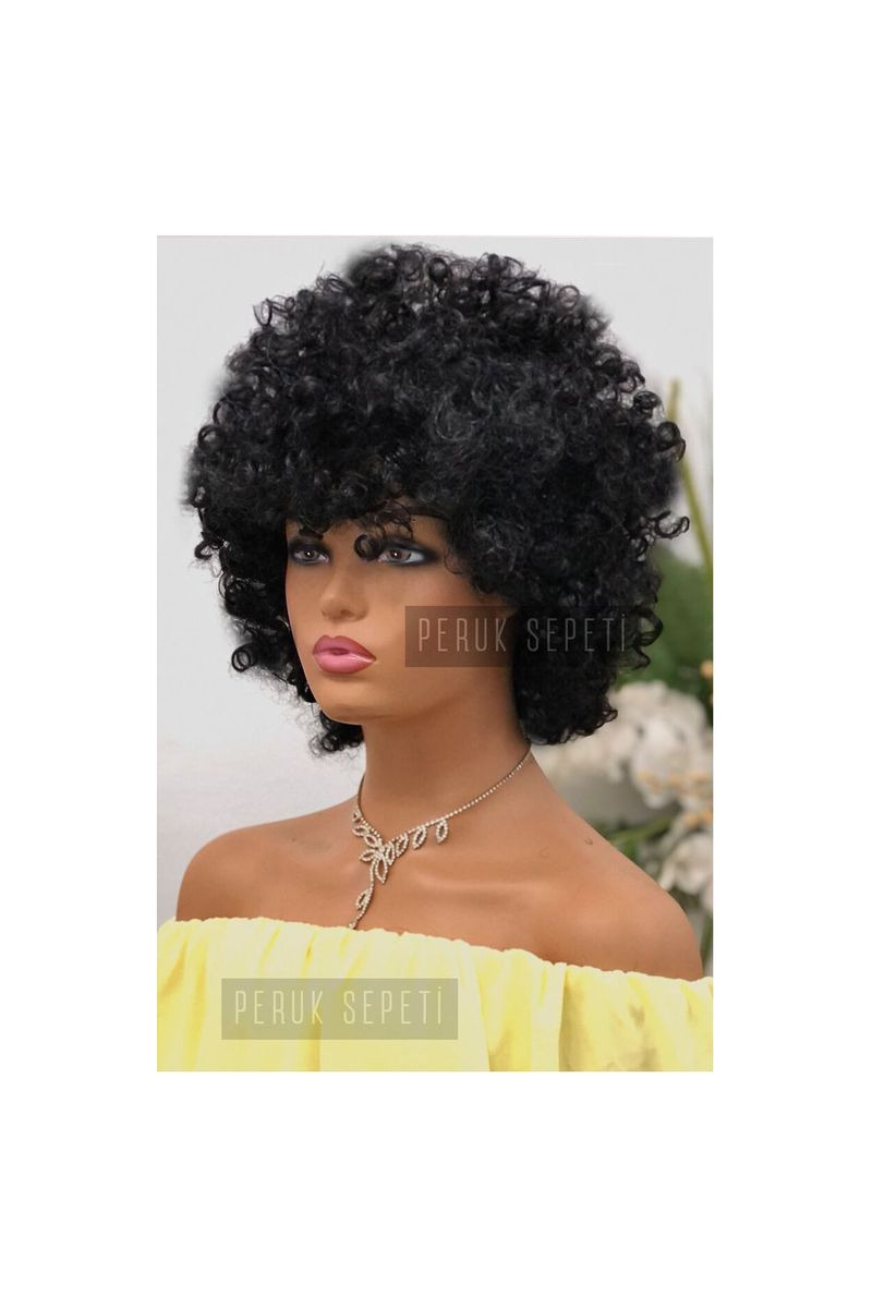 Unisex Afro Siyah Bonus Parti Peruk