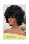 Unisex Afro Black Bonus Party Wig