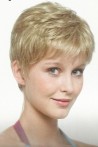 Short Length Synthetic Wig