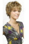 Short Length Synthetic Wig