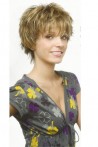 Short Length Synthetic Wig