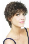 Short Length Synthetic Wig