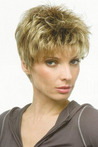 Short Length Synthetic Wig