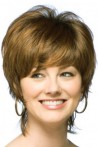 Short Length Synthetic Wig